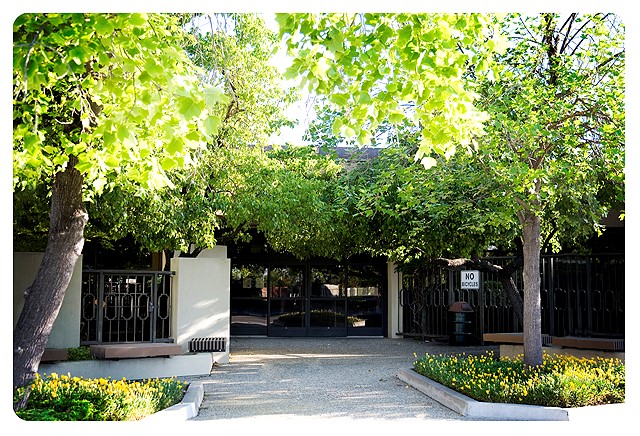 Photo of library entrance with sliding glass doors. There are flowerbeds and trees.